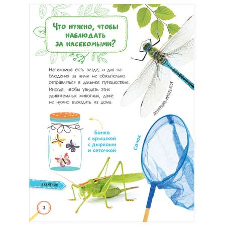 Энциклопедия АСТ Насекомые книжка с наклейками