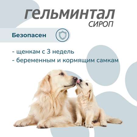 Сироп для щенков и собак Гельминтал до 10кг от внутренних паразитов 10мл