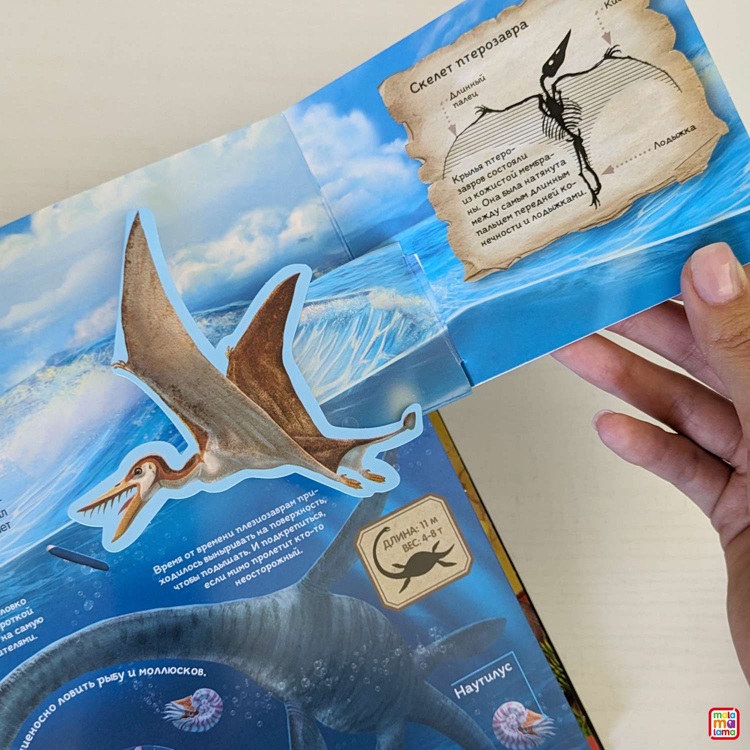 Интерактивная энциклопедия Malamalama Динозавры и Другие Доисторические Животные - фото 2