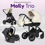 Коляска для новорожденных 3в1 Farfello Molly Trio