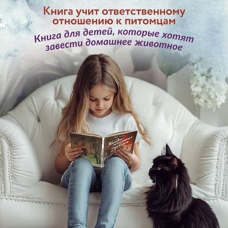 Книга Феникс Премьер Когда наступит завтра