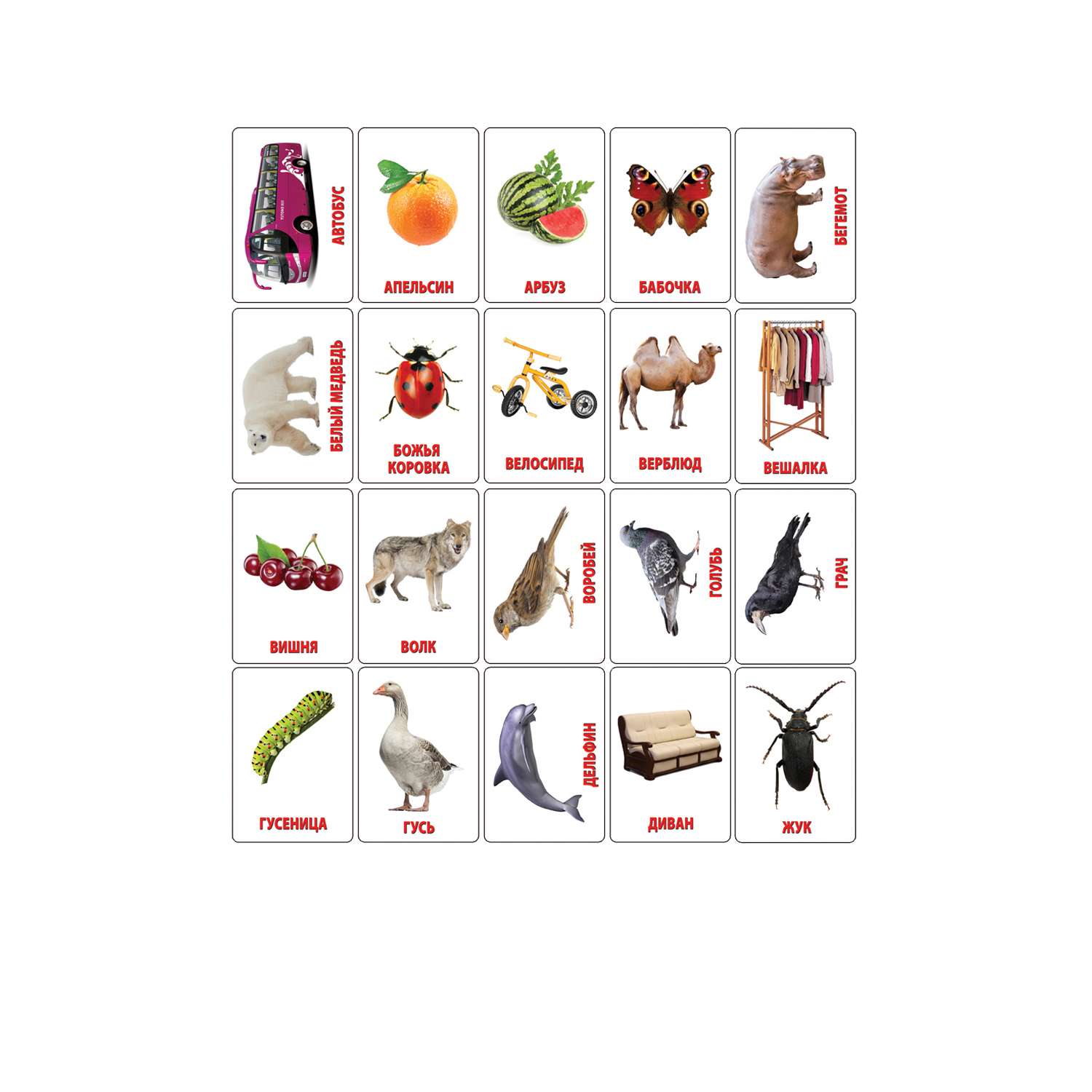 Развивающие обучающие карточки Шпаргалки для мамы Карточки Домана - настольная игра для детей - фото 6