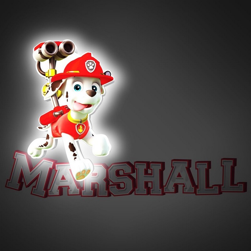 Светильник 3D 3DLightFx Paw Patrol Marshall Mini - фото 3