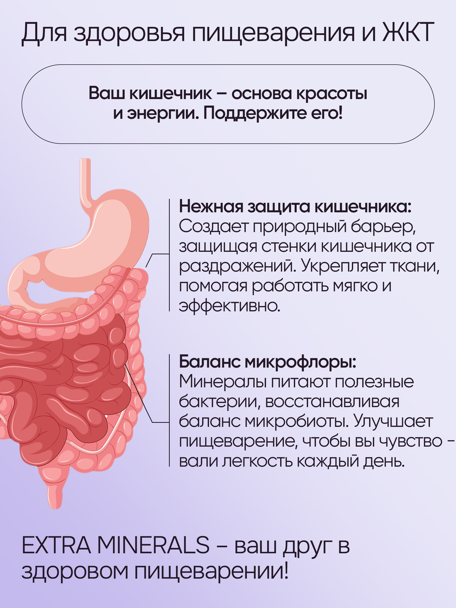 Цеолит и диатомит Bionormula Экстра минералы Цеолит пищевой+Диатомит Bionormula - фото 11