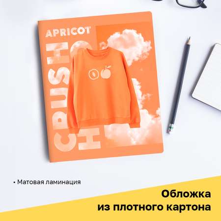 Тетрадь BG 48л А5 клетка Apricot