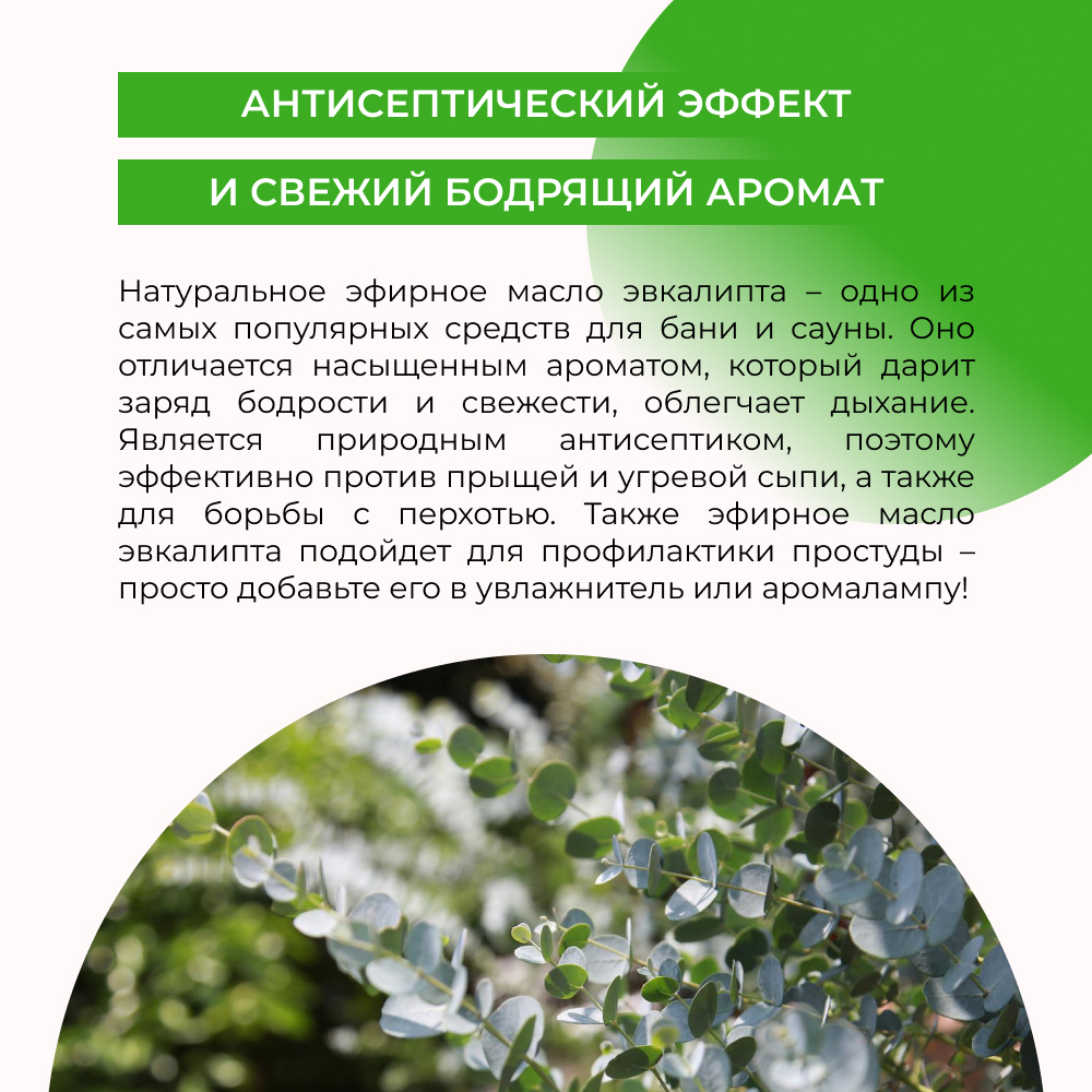 Эфирное масло Siberina натуральное «Эвкалипта» для тела и ароматерапии 8 мл - фото 5