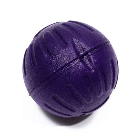 Мяч Пижон плавающий для дрессировки фиолетовый