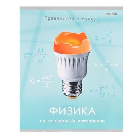 Тетрадь Prof-Press Физика Клетка 48л