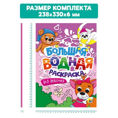 Раскраска Проф-Пресс большая водная комплект из 2 шт. 23.8х33 см Волшебный мир+для девочек