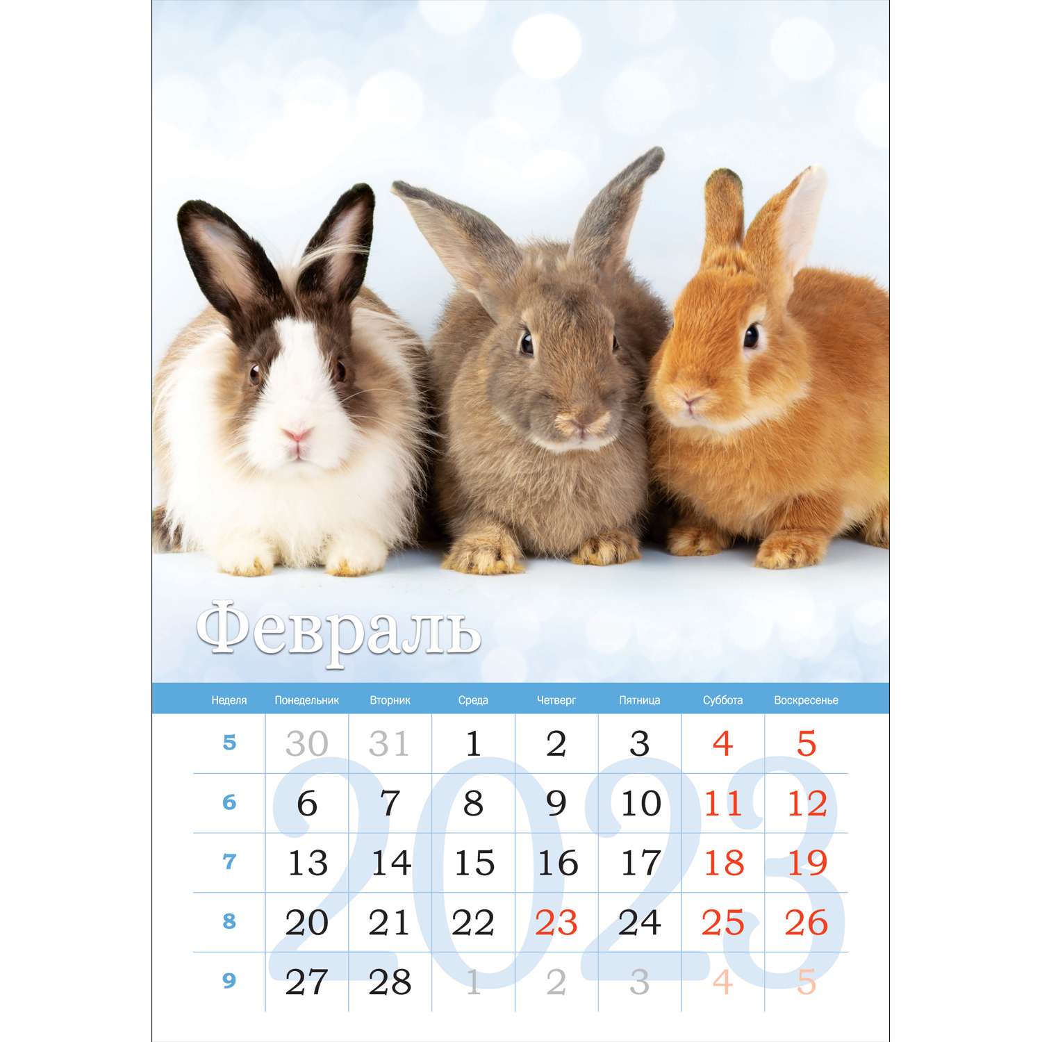 Календарь настенный перекидной ND PLAY Символ года Кролик на 2023 год - фото 2