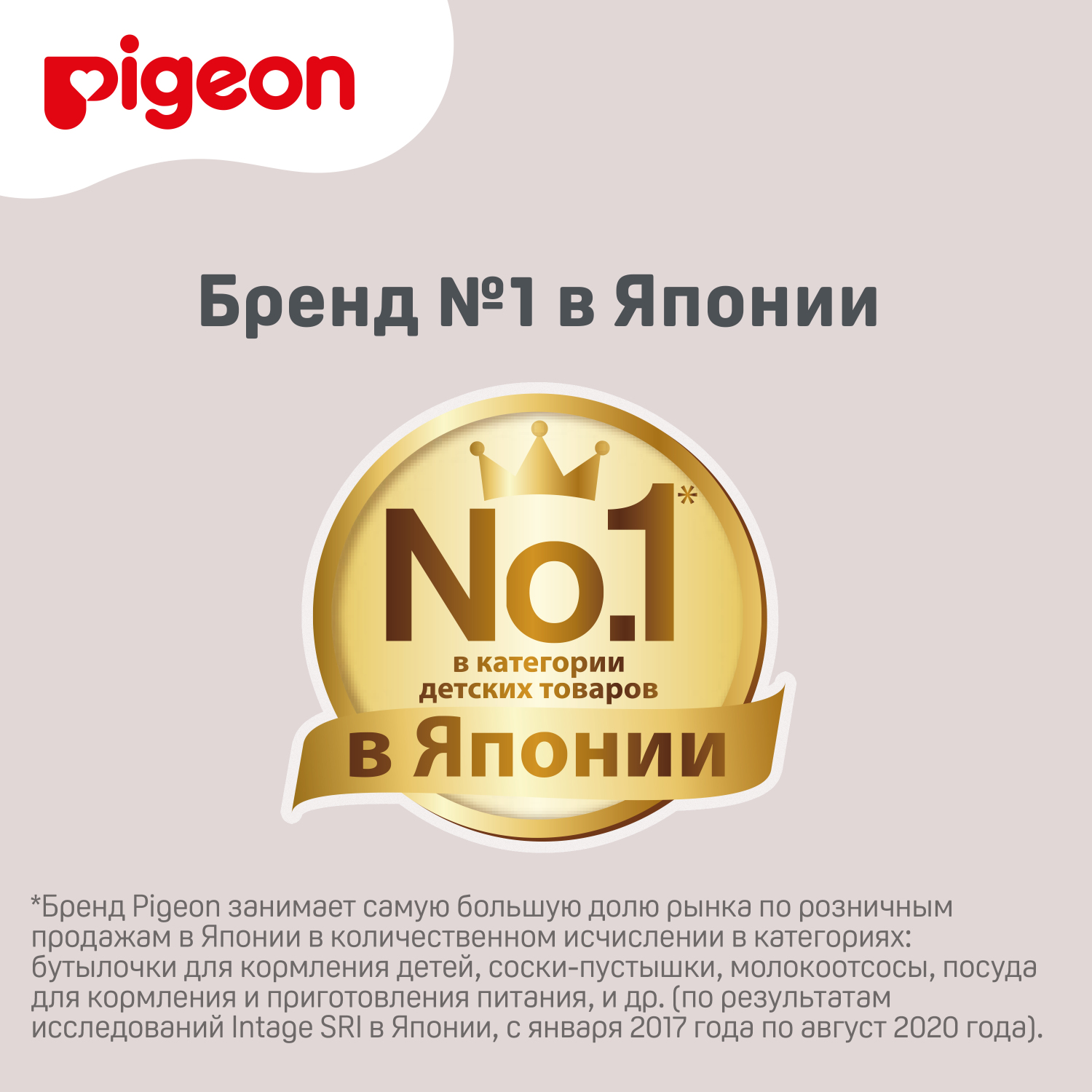 Пустышка Pigeon FunFriends Ежик L с 6месяцев N1008 - фото 12