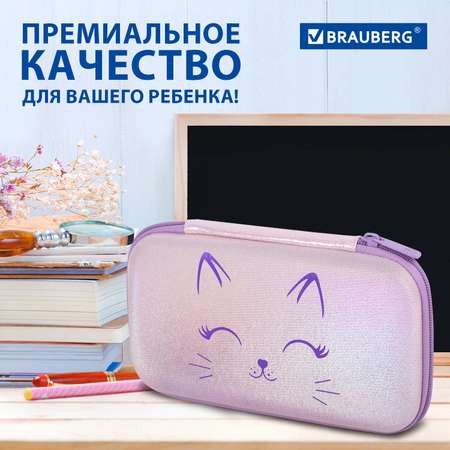 Пенал Brauberg школьный 2 отделения 23х12 см