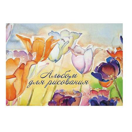 Альбом Академия Холдинг 12 лист.