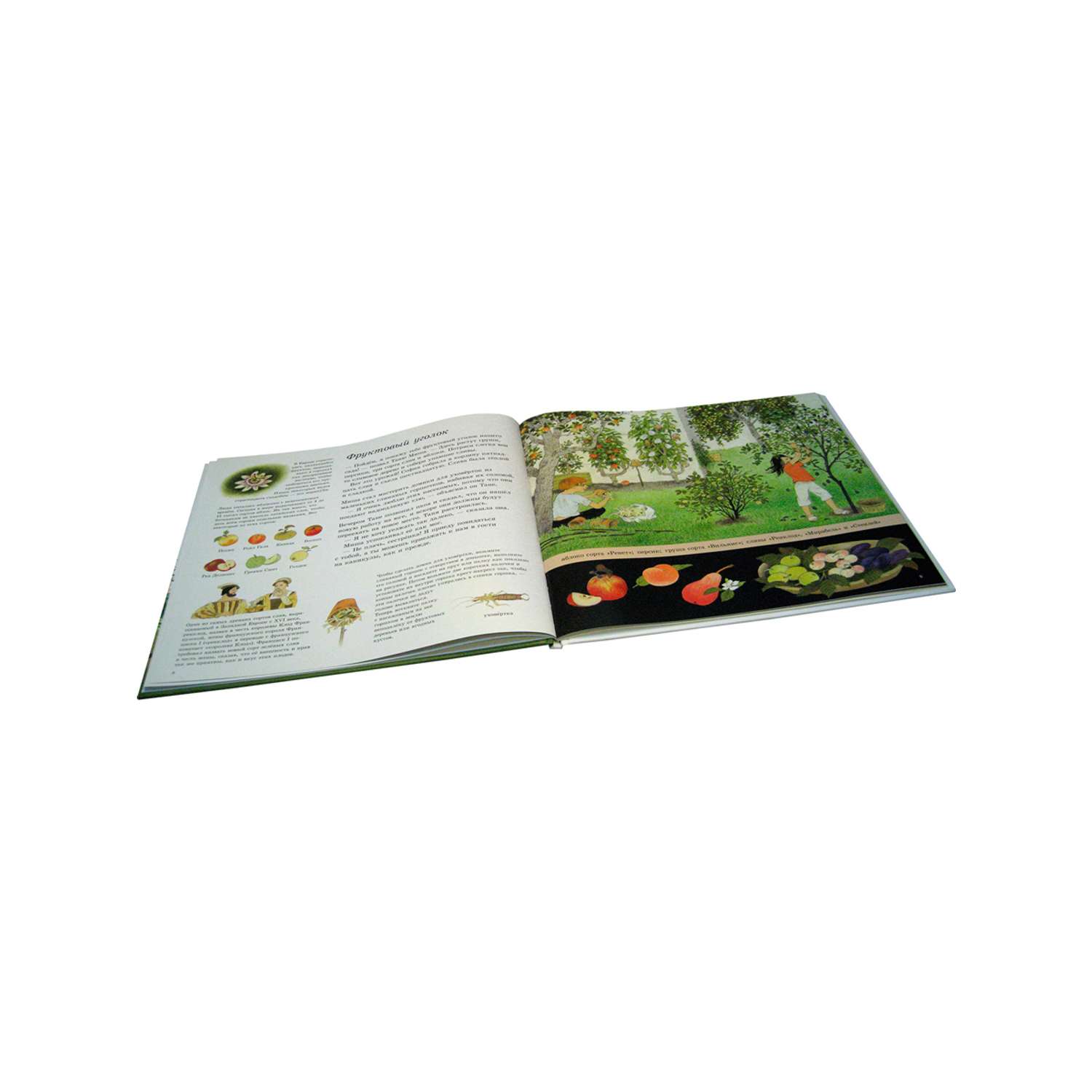Комплект Добрая книга Как растут овощи? + Как растут ягоды + Наше дерево - фото 13