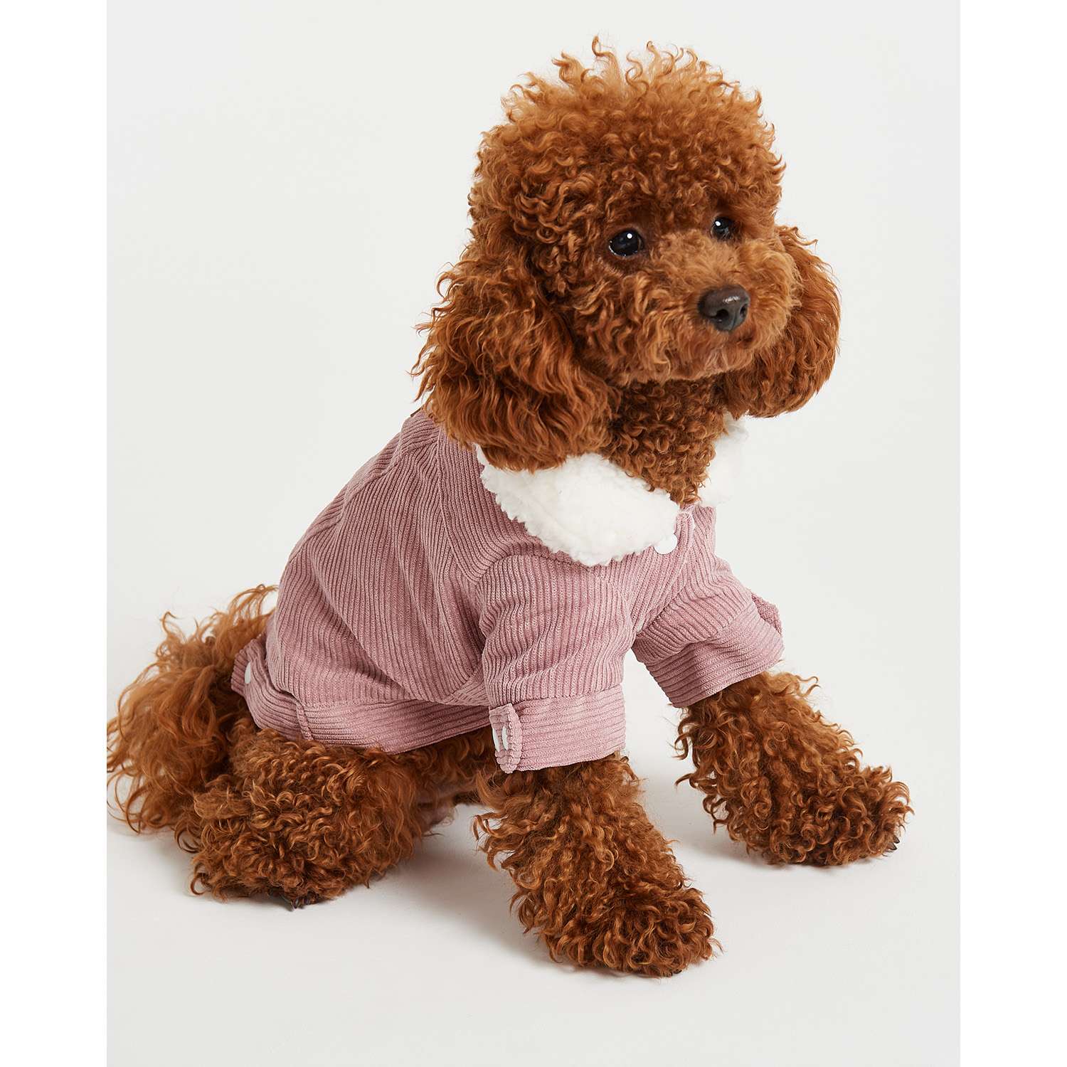 Куртка для собак Зоозавр розовая 30 - фото 12