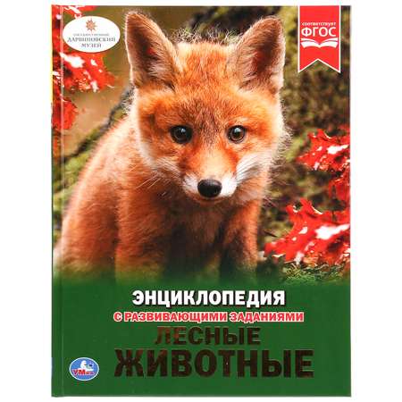 Книга Умка Лесные животные. Энциклопедия 273599
