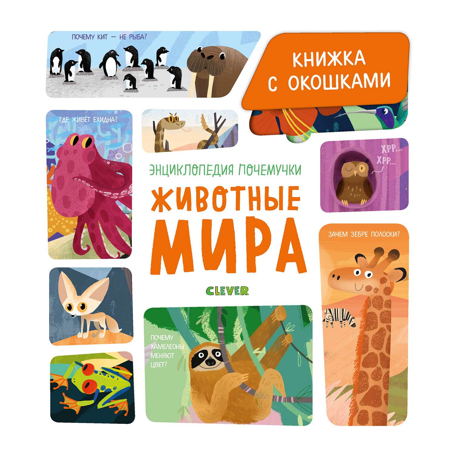 Книга Clever Книжка с окошками Животные мира Ананьева Е - фото 1