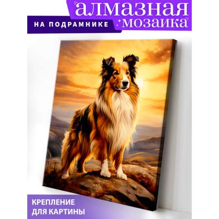 Алмазная мозаика Art on Canvas На закате в ассортименте