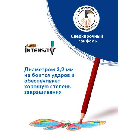 Карандаши цветные BIC Intensity 12 цветов