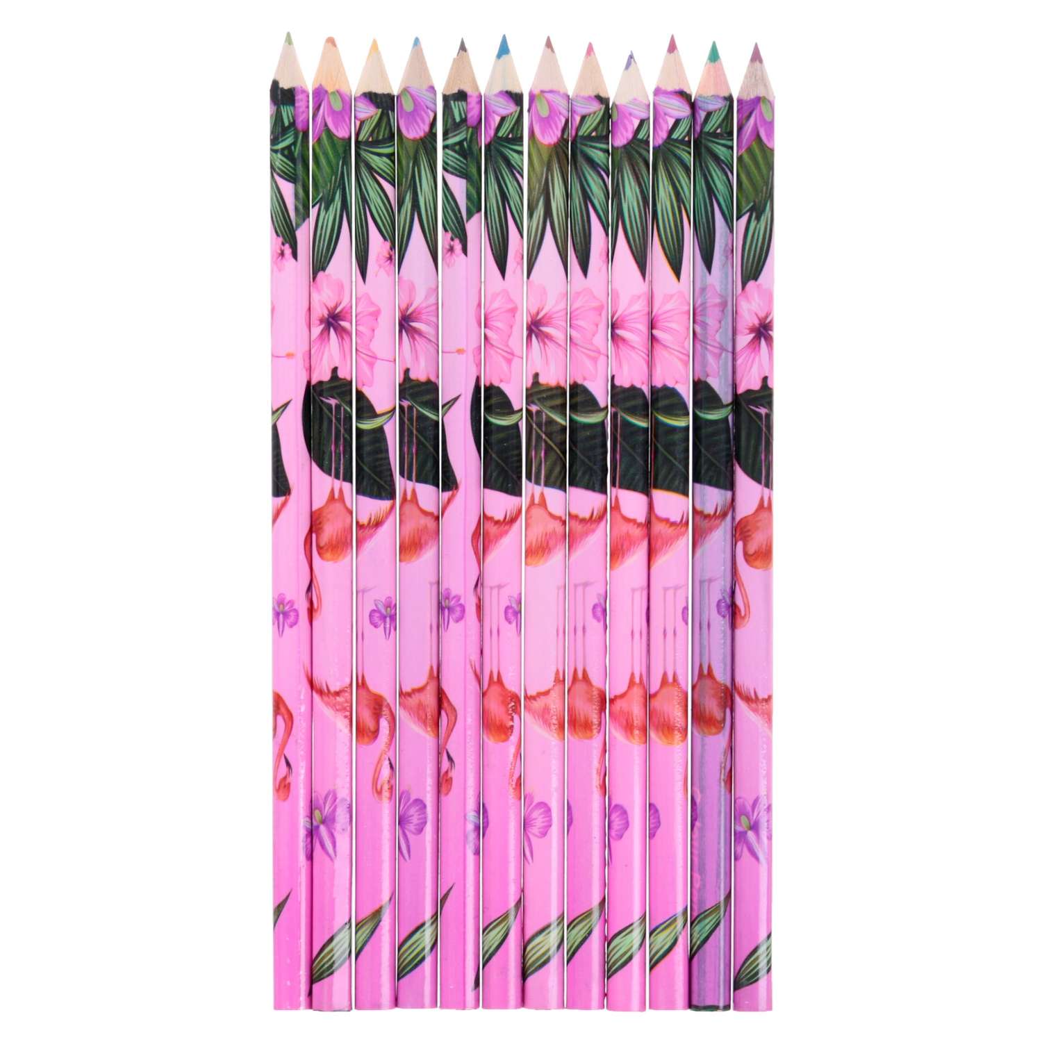 Карандаши Calligrata 12 цветов «Фламинго» - фото 2