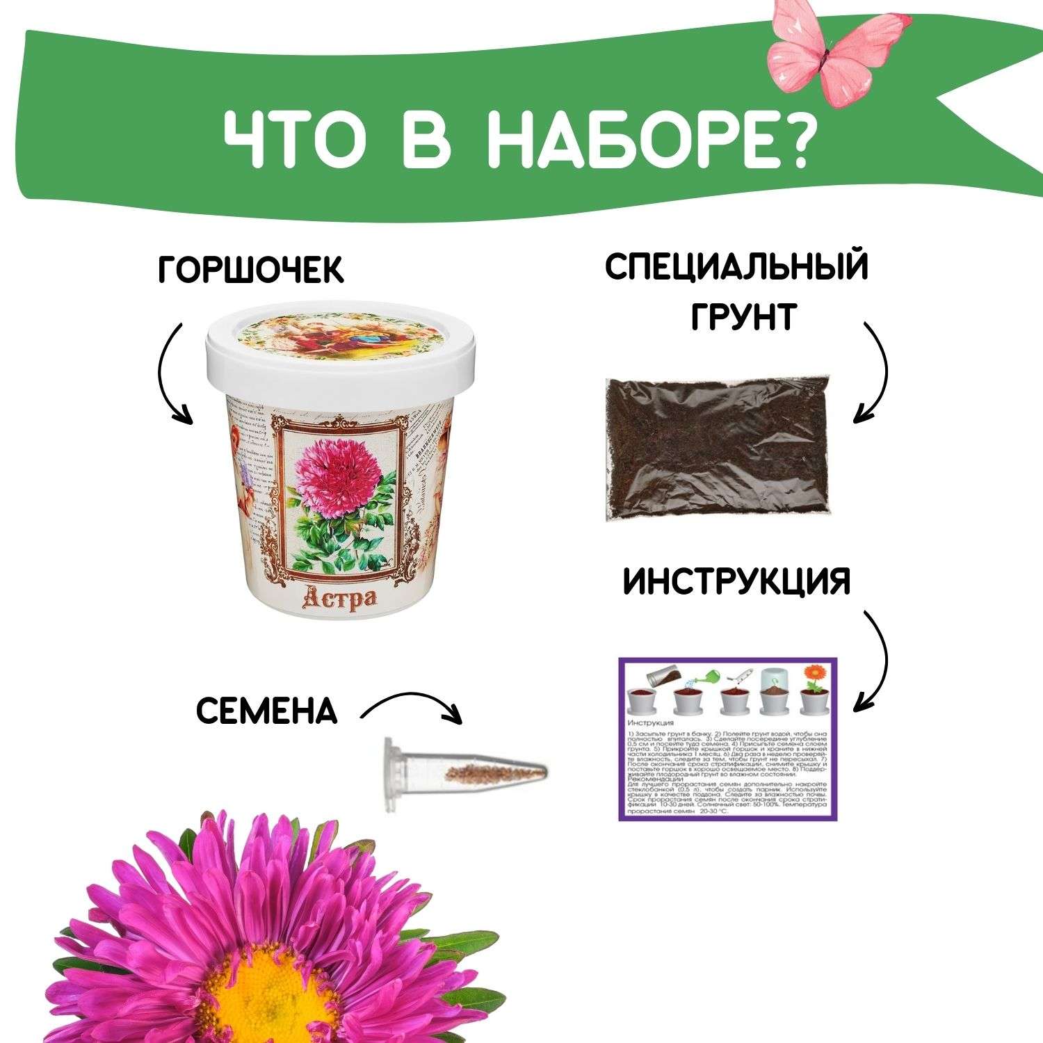 Набор для выращивания растений Rostok Visa Вырасти сам цветок Астра в подарочном горшке - фото 3