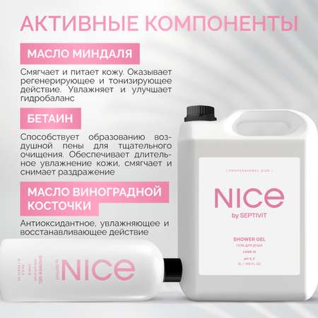 Гель для душа NICE by Septivit Love is 5л