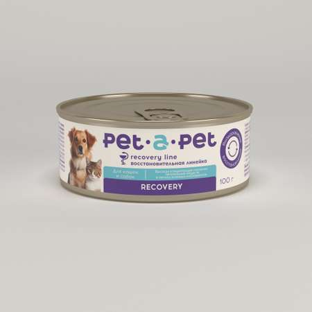 Корм для собак и кошек Pet-a-Pet 100г диетический восстановительная диета Recovery