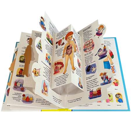 Детская книга панорамка BimBiMon Энциклопедия для детей. Секреты человека. Обзор на 360.