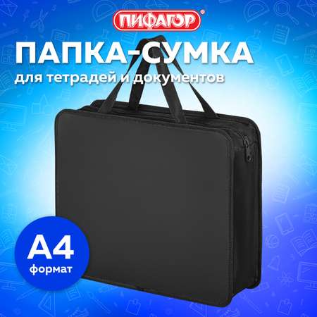 Папка сумка Пифагор для документов тетрадей труда А4 в школу и офис