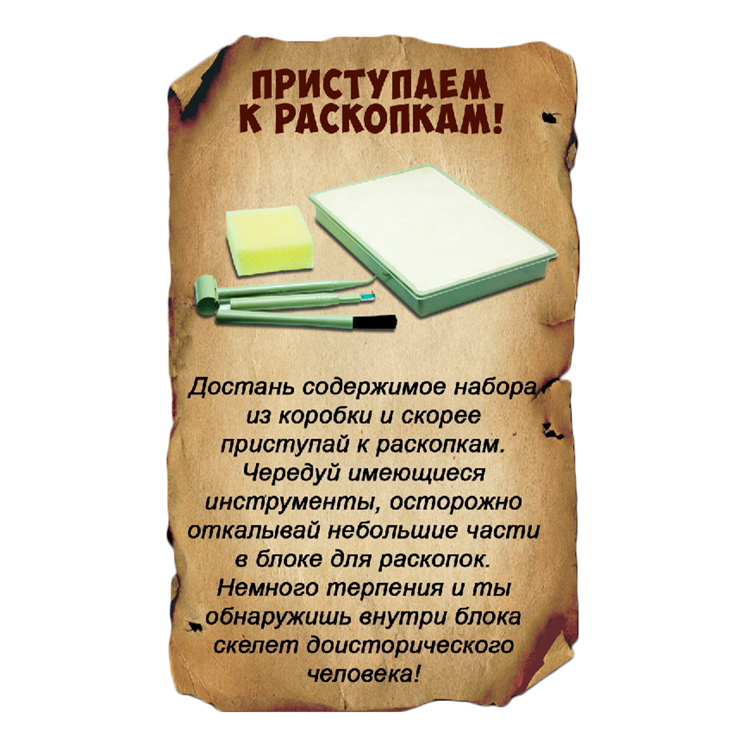 Исторические раскопки BONDIBON Тайны веков Скелет древнего человека серия Науки с Буки - фото 6