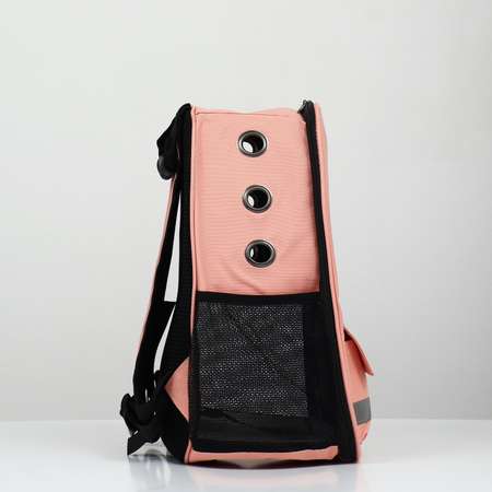 Рюкзак для переноски Пижон с окном для обзора розовый