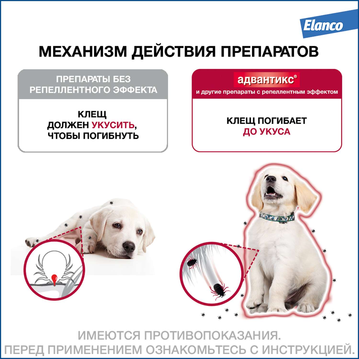 Капли для собак Elanco Адвантикс от 10 до 25 кг против блох и клещей 1пипетка - фото 4