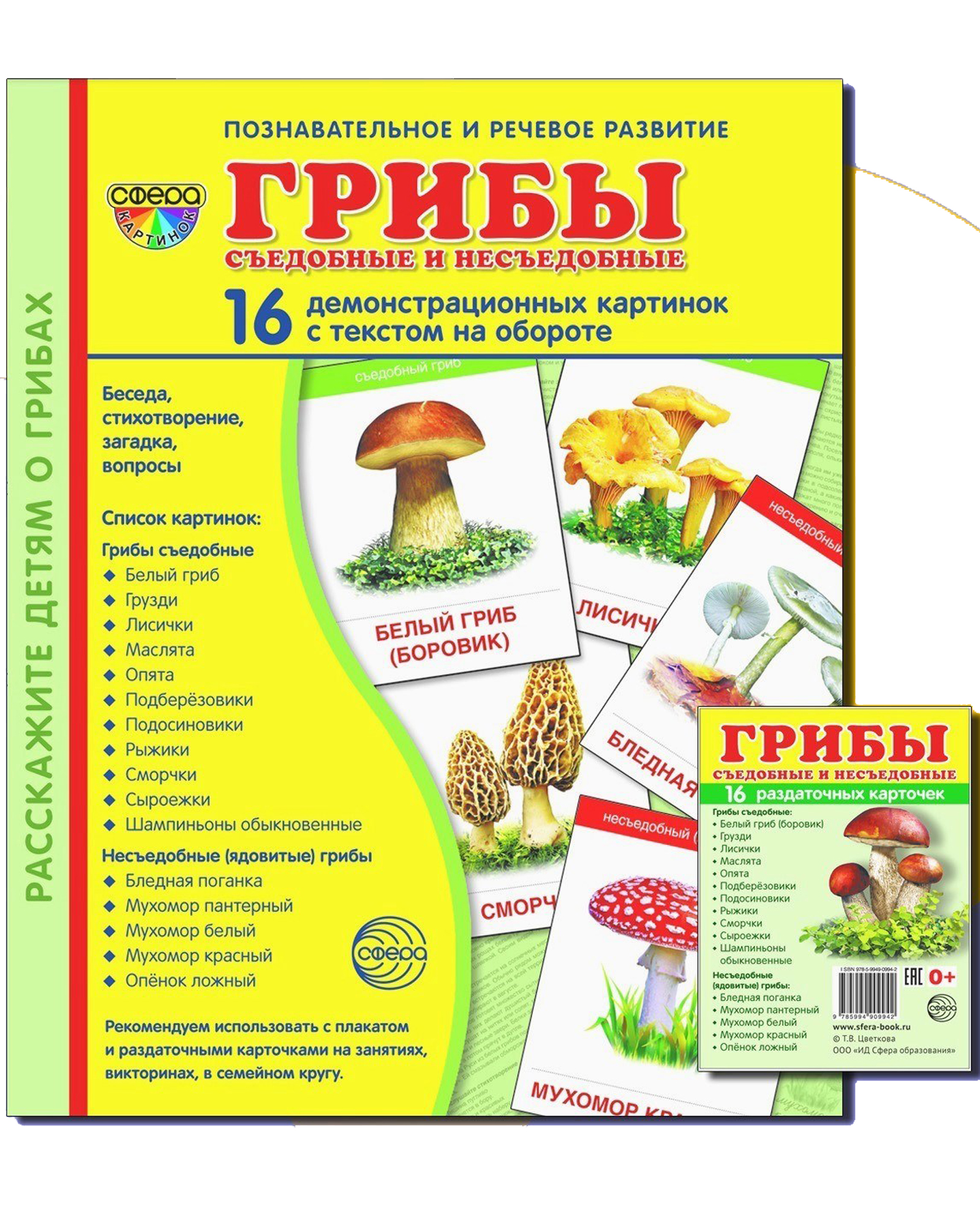 Развивающие карточки ТЦ Сфера Грибы купить по цене 259 ₽ в  интернет-магазине Детский мир