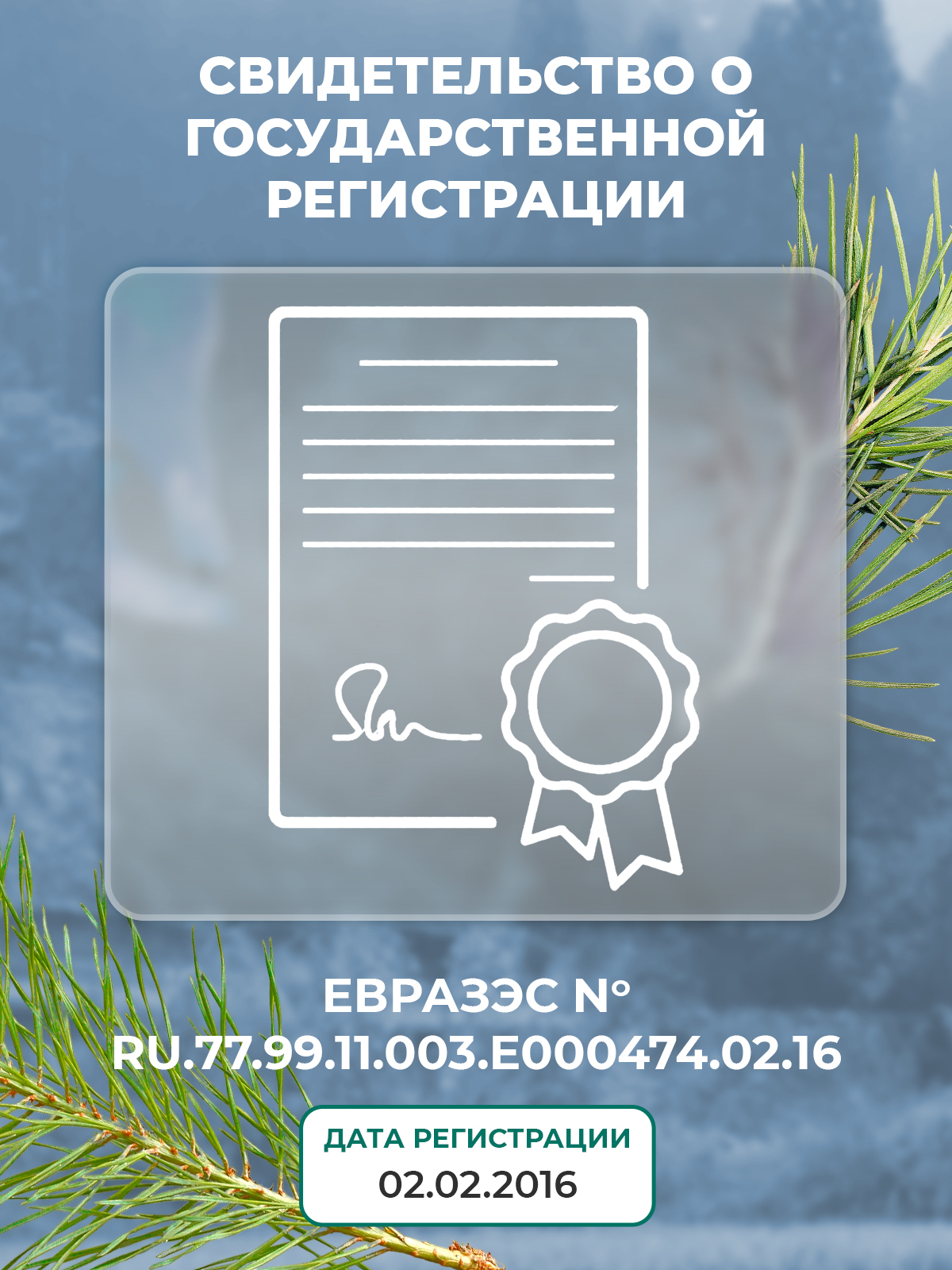 Натуральный грибной препарат Грибная аптека Кордицепс для иммунитета 60 капсул - фото 10