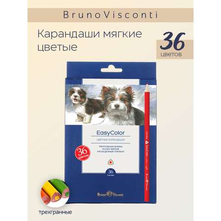 Карандаши цветные Bruno Visconti EasyColor 36 цветов