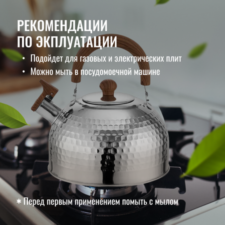 Чайник ZDK Homium для газовой плиты со свистком