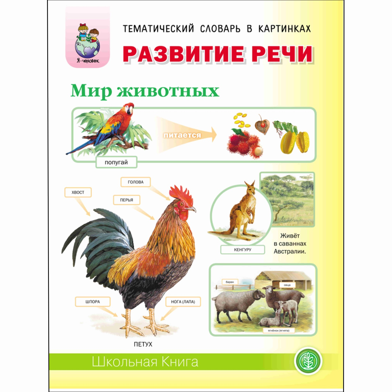 Книга Школьная Книга Развитие речи. Мир животных. Домашние и дикие животные  и птицы жарких и холодных стран