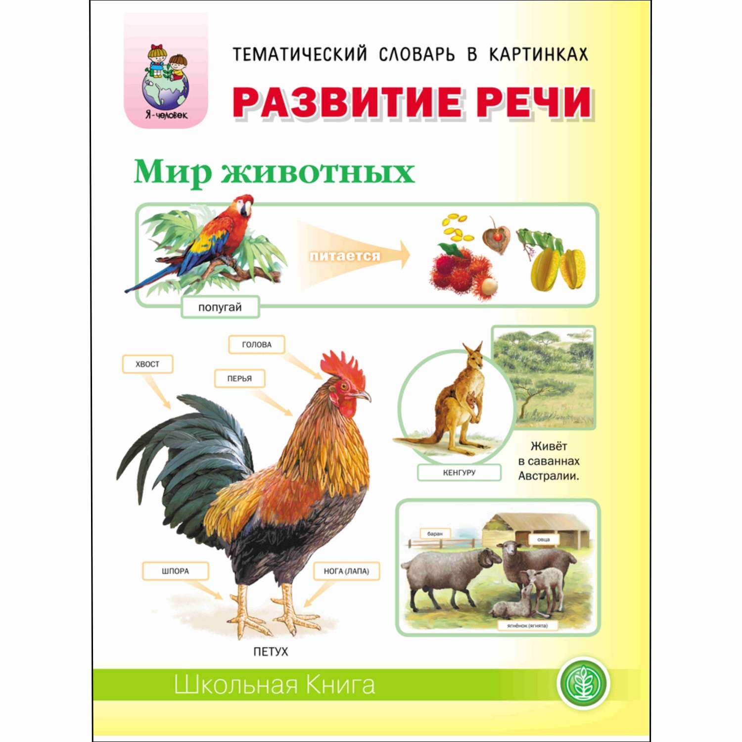 Книга Школьная Книга развитие речи мир животных Домашние и дикие животные и птицы жарких и холодных стран - фото 1