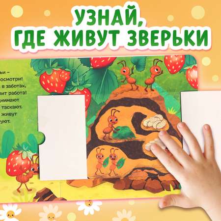 Картонная книга с окошками Буква-ленд «Кто в домике живёт?» 12 стр