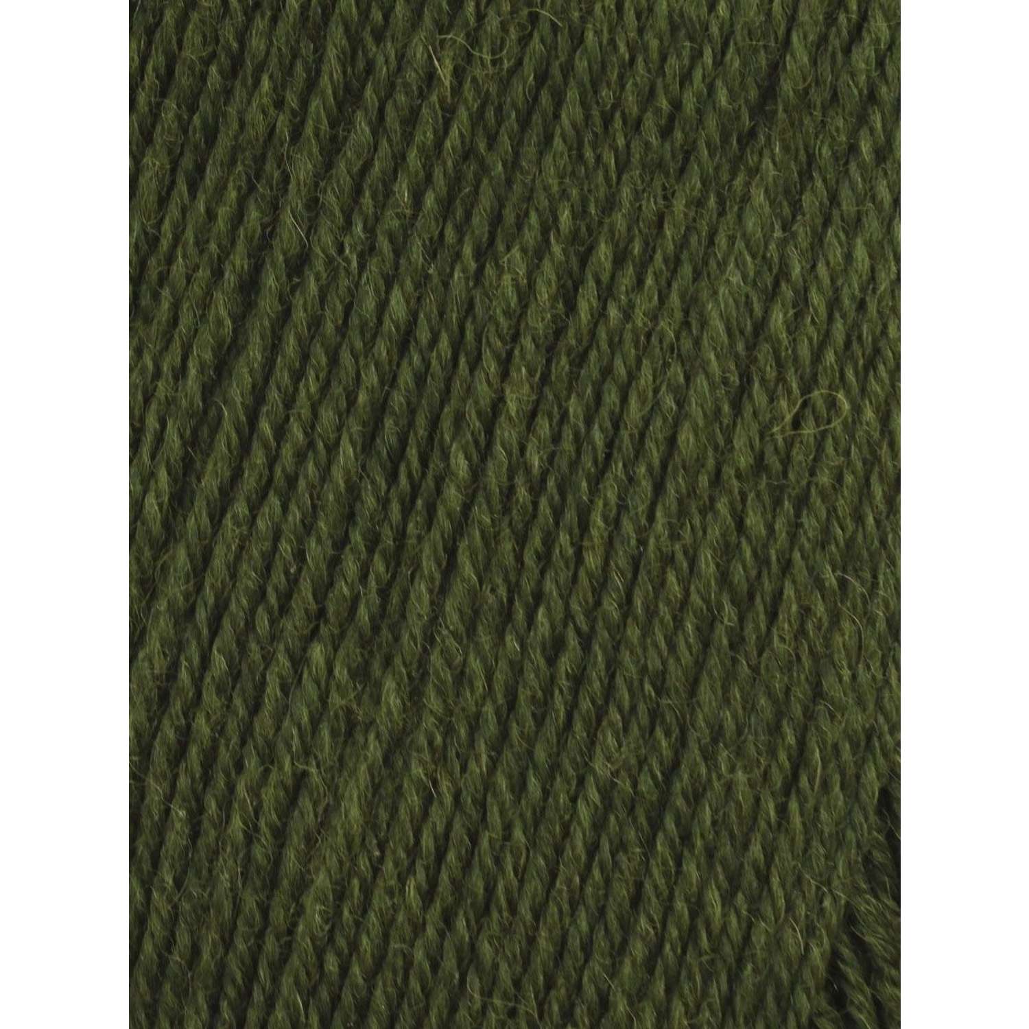 Пряжа Astra Premium Афродита полушерстяная 100 г 250 м 01 14 зеленый 3 мотка - фото 3