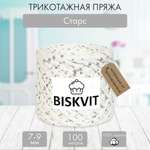 Трикотажная пряжа BISKVIT Старс