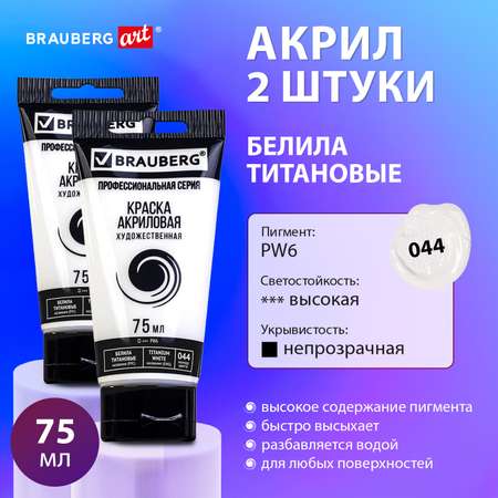 Краски акриловые Brauberg набор художественные белые глянцевые 2 штуки в тюбиках