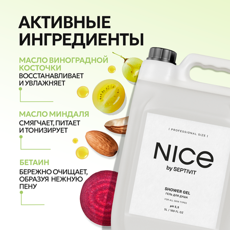 Гель для душа NICE by Septivit 5л