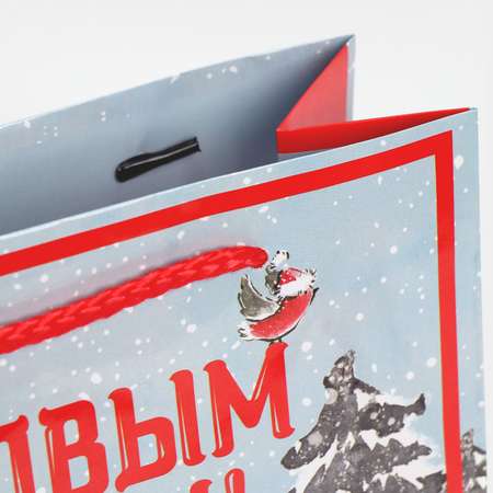 Пакет Sima-Land ламинированный вертикальный «Дедушка мороз». ML 21×25×8 см
