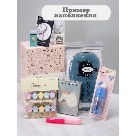 Подарочный бокс для девочки iLikeGift Milota Box mini котик