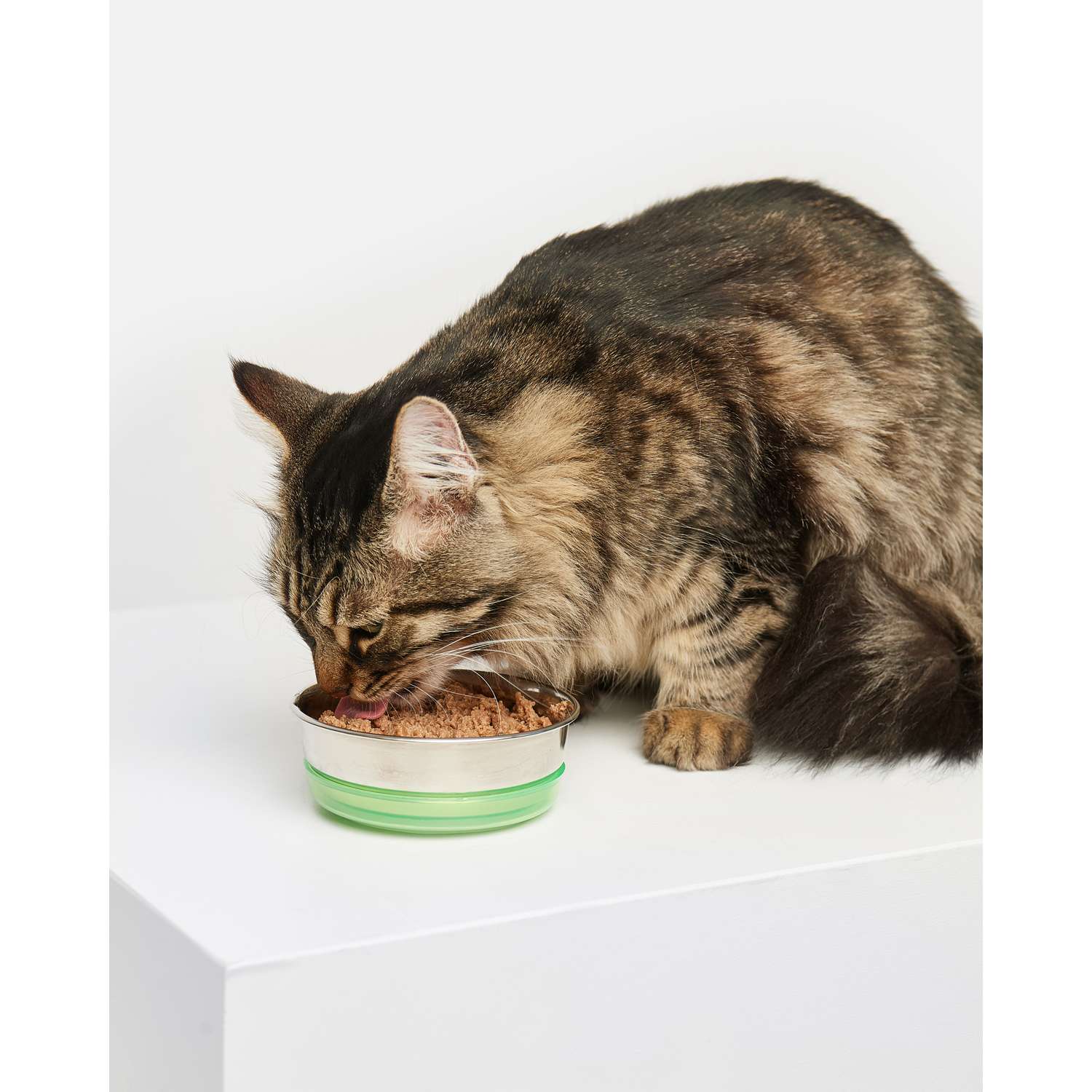 Корм для кошек Carnica 100г паштет из ягненка для здоровья мочевыделительной системы консервированный - фото 4