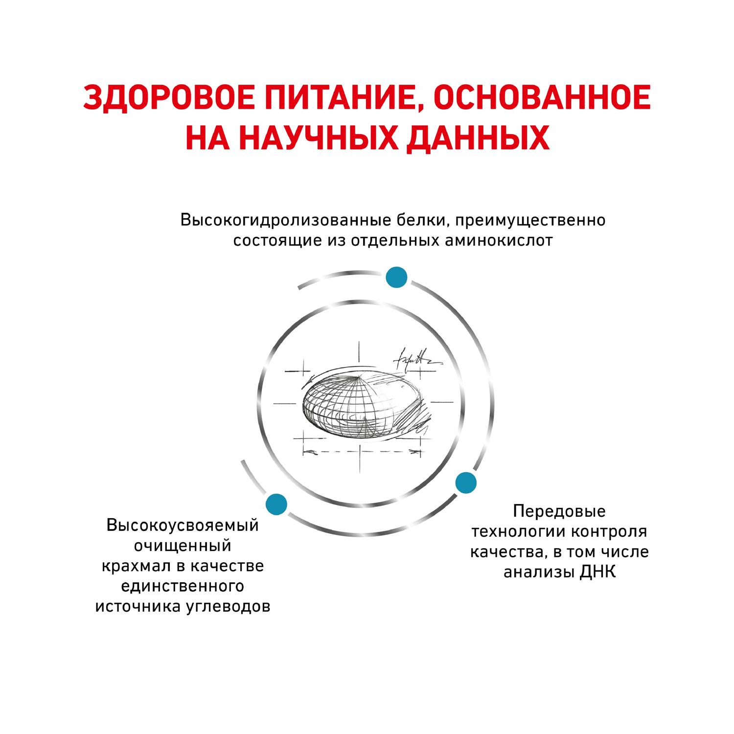 Корм для собак ROYAL CANIN Anallergenic AN18 при аллергии и заболеваниях кожи с острой непереносимостью 8кг - фото 4