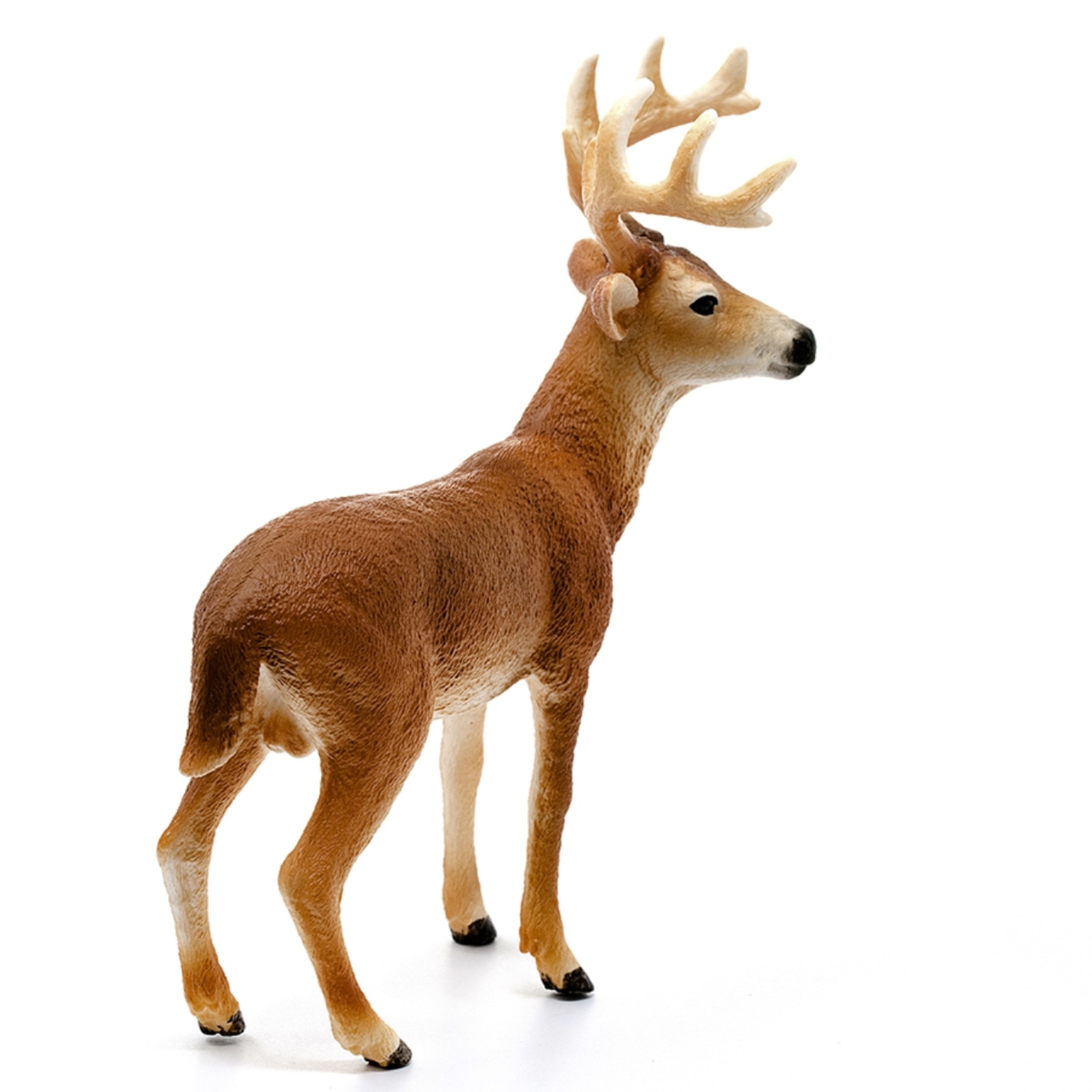 Фигурка SCHLEICH Белохвостый олень-самец 14818 купить по цене 599 ₽ в  интернет-магазине Детский мир