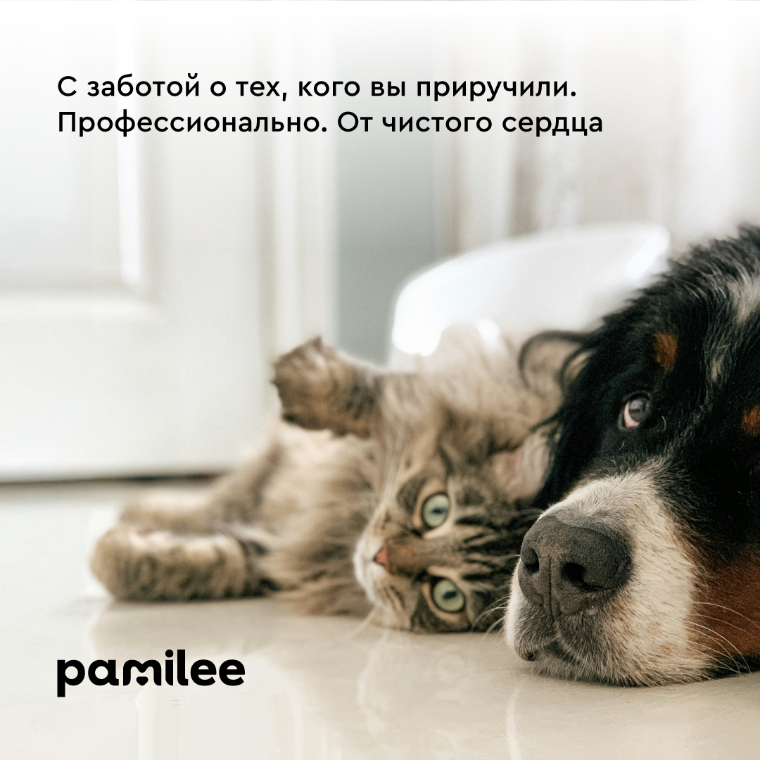 Спрей - кондиционер Pamilee от колтунов для собак и кошек 250мл - фото 13