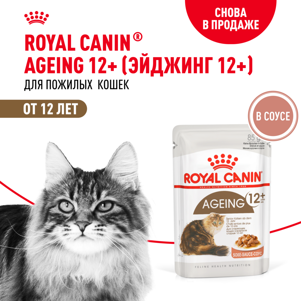 Корм для кошек ROYAL CANIN Ageing 85гр для пожилых 12+ желе соус пауч - фото 1